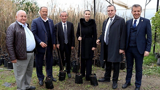 2500 FETHİYE KAYA İNCİRİ FİDANI ÜRETİCİLERE DAĞITILDI