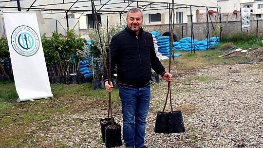 2500 FETHİYE KAYA İNCİRİ FİDANI ÜRETİCİLERE DAĞITILDI