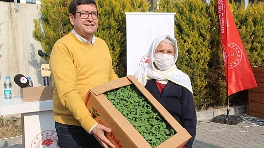 360 bin adaçayı ve kekik fidesi dağıtıldı