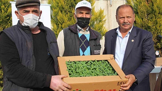 360 bin adaçayı ve kekik fidesi dağıtıldı