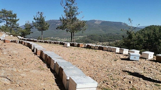 Girgin'den çağrı Bal ve zeytine boksit madeni için kıymayın!