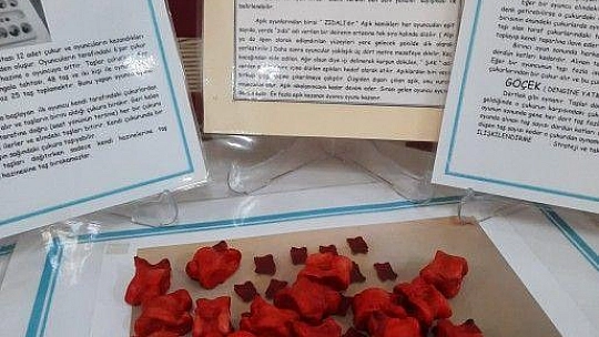 Oyuncaklarını Sergiledi