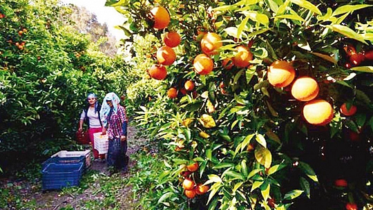 Başvurular 25 Haziran'da sona eriyor