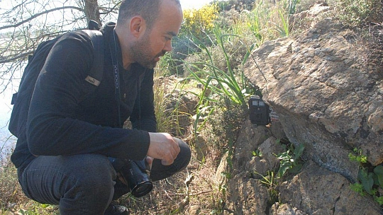 Su samuru foto kapanla görüntülendi 