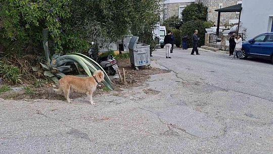 Akrep Nalan'ın cenaze programı belli oldu