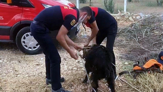 Alev savaşçılarının can kurtarma operasyonu