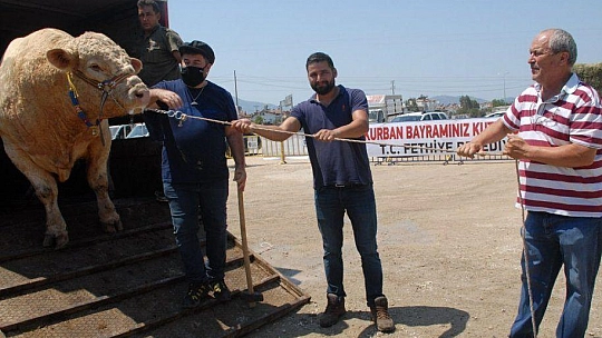 FETHİYE'NİN EN BÜYÜK KURBANLIĞI GÖZ KAMAŞTIRDI