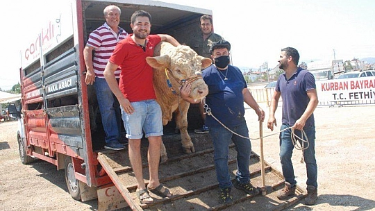 FETHİYE'NİN EN BÜYÜK KURBANLIĞI GÖZ KAMAŞTIRDI
