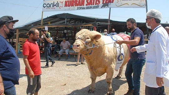FETHİYE'NİN EN BÜYÜK KURBANLIĞI GÖZ KAMAŞTIRDI
