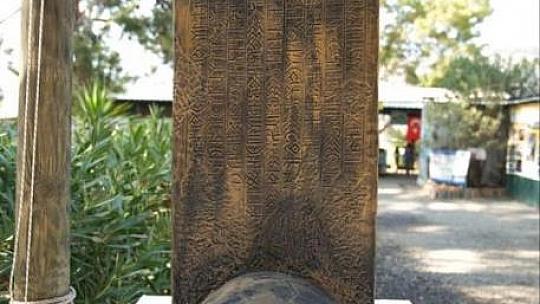 Tedavi edilen 8 kaplumbağa, denize bırakıldı