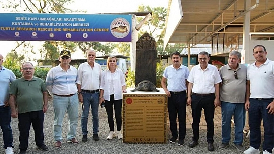 Tedavi edilen 8 kaplumbağa, denize bırakıldı