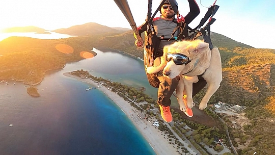 Köpeğiyle paraşüt atlayışı yaptı