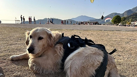 Köpeğiyle paraşüt atlayışı yaptı