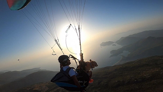 Köpeğiyle paraşüt atlayışı yaptı
