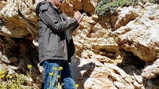 'Yalı Havacivası' yok olma tehlikesi ile karşı karşıya