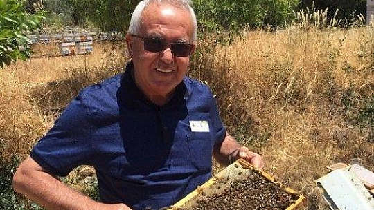 Yangın sonrası tabiatın dengesini sağlayan arılarda açlık tehlikesi