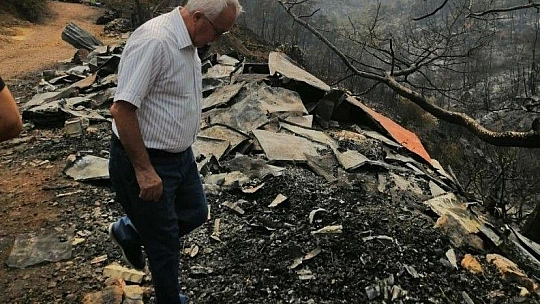 Yangın sonrası tabiatın dengesini sağlayan arılarda açlık tehlikesi
