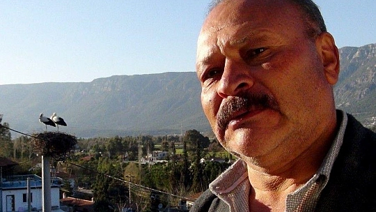 Baharın müjdecisi Leylekler geldi