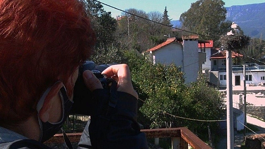 Baharın müjdecisi Leylekler geldi