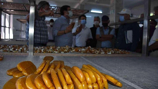Balık yumurtası ve bottargada hedef 1 milyon kiloyu aşmak