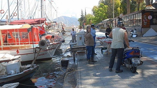 Balıkçılar Ve Ticari Tekneler Demir Aldı