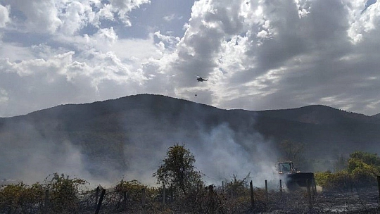 Belen Kahvesi mevkiindeki yangın kontrol altına alındı