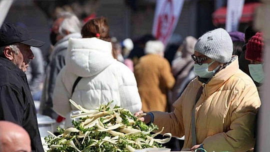 Bodrum acı ot festivaline binlerce kişi akın etti