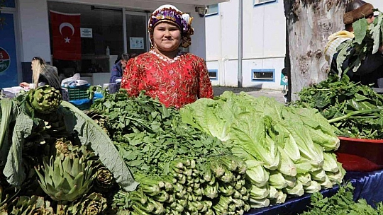 Bodrum acı ot festivaline binlerce kişi akın etti