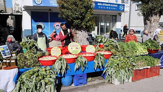Bodrum acı ot festivaline binlerce kişi akın etti