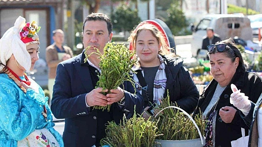 Bodrum acı ot festivaline binlerce kişi akın etti