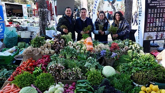 Bodrum acı ot festivaline binlerce kişi akın etti