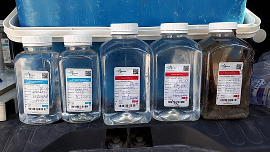 Bodrum Belediyesi Denizlerdeki Müsilaj Sorununa Karşı Harekete Geçti