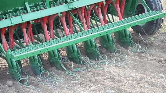 Bodrum Belediyesi Karakılçık Buğdayı ve Kanola tohumlarını toprakla buluşturdu