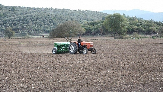 Bodrum Belediyesi Karakılçık Buğdayı ve Kanola tohumlarını toprakla buluşturdu