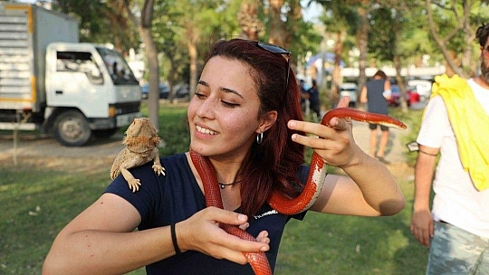 Bodrum can dostları için festival düzenledi: 'Pati Fest'