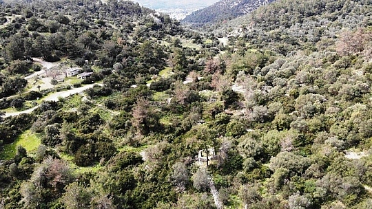 Bodrum'da 3 bin yıllık antik kent satılığa çıkarıldı