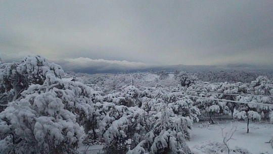 Bodrum da beyaza büründü