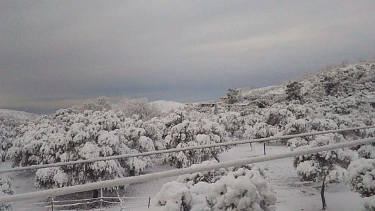 Bodrum da beyaza büründü