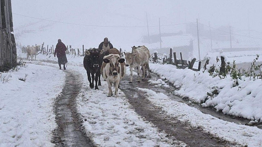 Bodrum'da deniz keyfi, Doğu'da kar kabusu