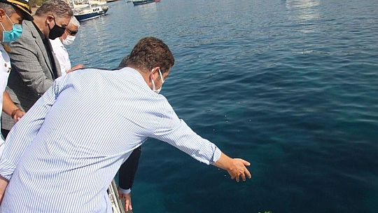 Bodrum'da Kabotaj Bayramı kutlaması