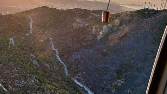 Bodrum'da makilik alanda yangın