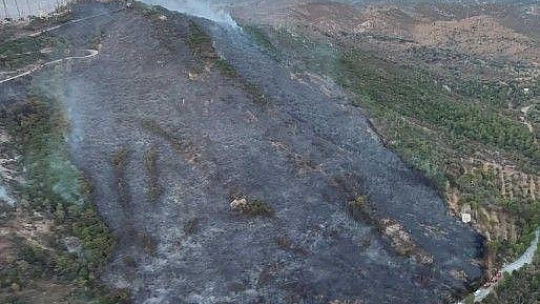 Bodrum'da makilik alanda yangın