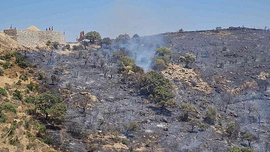 Bodrum'da makilik alanda yangın çıktı