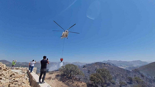 Bodrum'da makilik alanda yangın çıktı