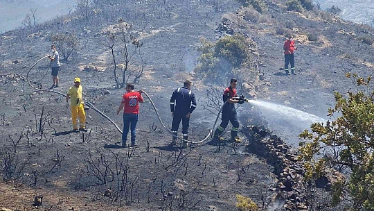 Bodrum'da makilik alanda yangın çıktı
