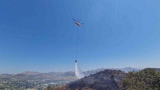 Bodrum'da makilik alanda yangın çıktı