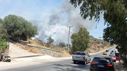 Bodrum'da makilik alanda yangın çıktı