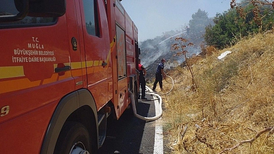 Bodrum'da otluk ve makilik alanda yangın çıktı