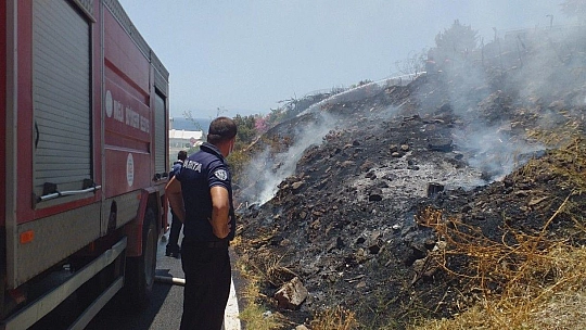 Bodrum'da otluk ve makilik alanda yangın çıktı