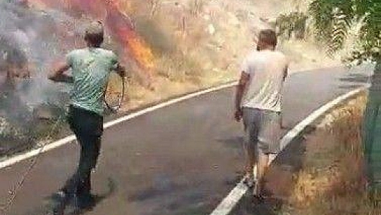 Bodrum'da otluk ve makilik alanda yangın çıktı